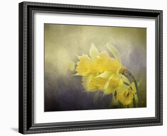 Out of the Darkness-Jai Johnson-Framed Giclee Print