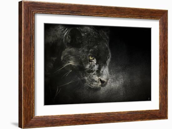 Out of the Shadows Black Leopard-Jai Johnson-Framed Giclee Print