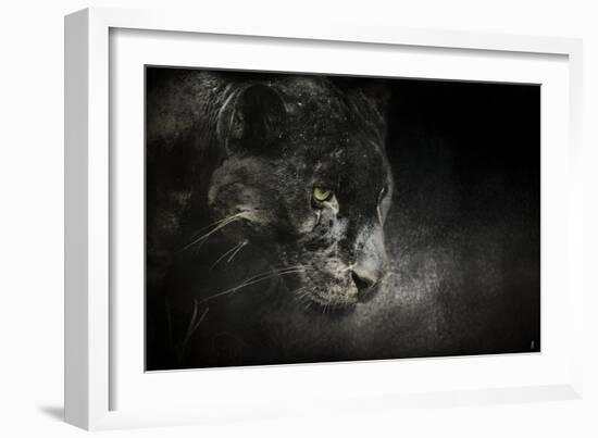 Out of the Shadows Black Leopard-Jai Johnson-Framed Giclee Print