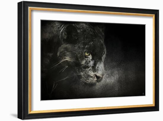 Out of the Shadows Black Leopard-Jai Johnson-Framed Giclee Print