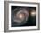 Out of This Whirl: the Whirlpool Galaxy M51 and Companion Galaxy Space Photo Art Poster Print-null-Framed Art Print