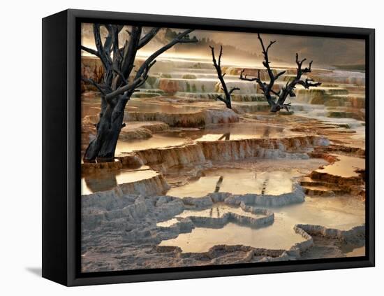 Out of This World-Ursula Abresch-Framed Premier Image Canvas
