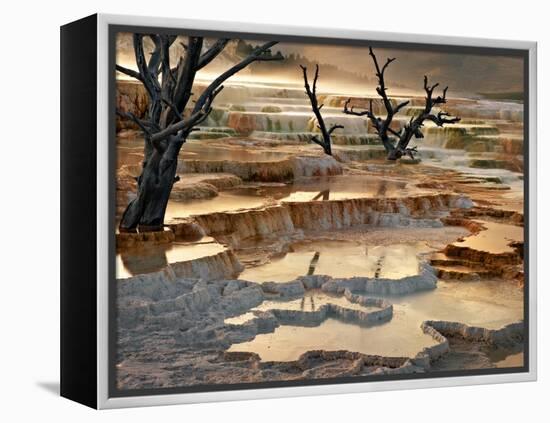 Out of This World-Ursula Abresch-Framed Premier Image Canvas