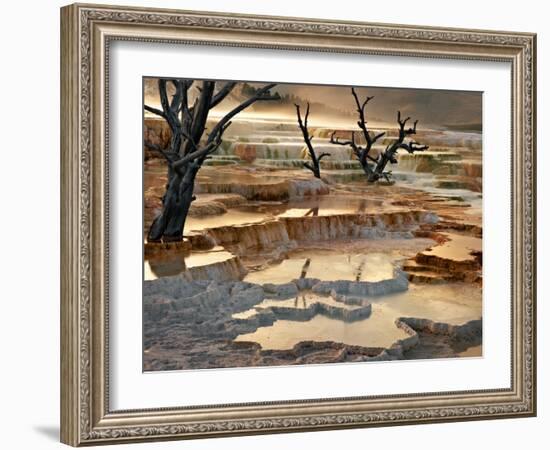 Out of This World-Ursula Abresch-Framed Photographic Print