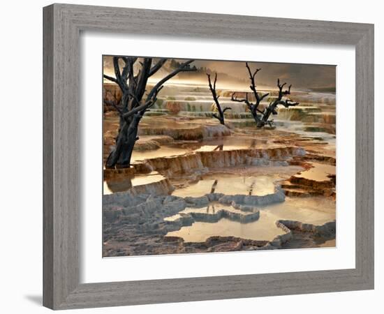 Out of This World-Ursula Abresch-Framed Photographic Print