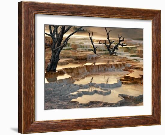 Out of This World-Ursula Abresch-Framed Photographic Print