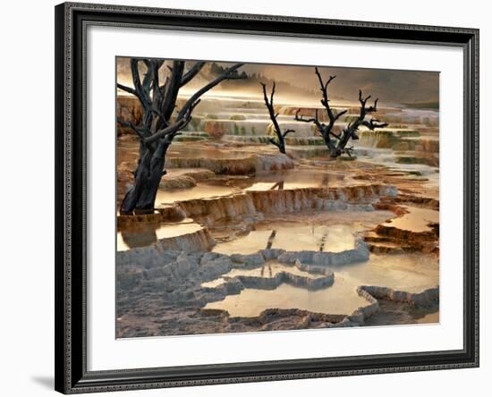 Out of This World-Ursula Abresch-Framed Photographic Print