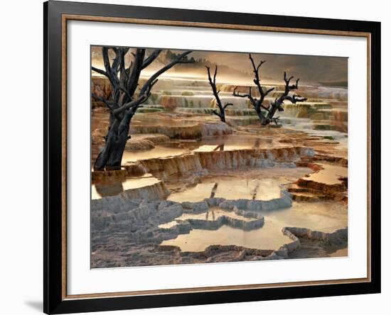 Out of This World-Ursula Abresch-Framed Photographic Print