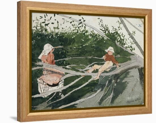 Out on a Limb-Winslow Homer-Framed Premier Image Canvas