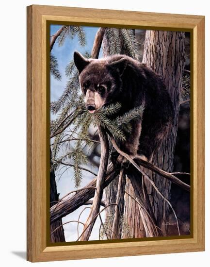 Out on a Limb-Kevin Daniel-Framed Stretched Canvas