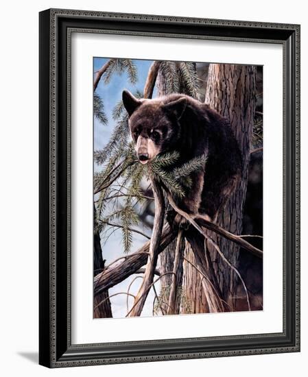 Out on a Limb-Kevin Daniel-Framed Art Print