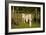 Out to Dry I-Philip Clayton-thompson-Framed Photographic Print