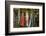 Out to Dry II-Philip Clayton-thompson-Framed Photographic Print