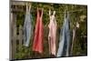 Out to Dry II-Philip Clayton-thompson-Mounted Photographic Print