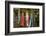 Out to Dry II-Philip Clayton-thompson-Framed Photographic Print