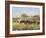 Out to Pasture II-Ethan Harper-Framed Art Print
