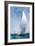 Out To Sail-Kimberly Allen-Framed Art Print