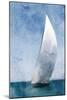 Out To Sail-Kimberly Allen-Mounted Art Print