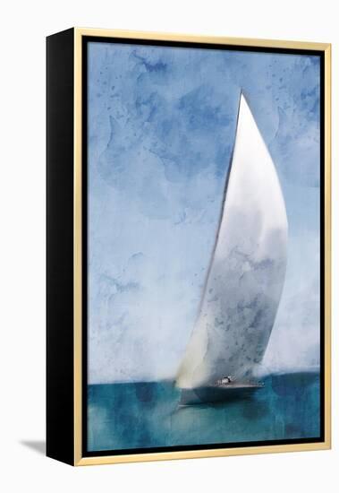 Out To Sail-Kimberly Allen-Framed Stretched Canvas