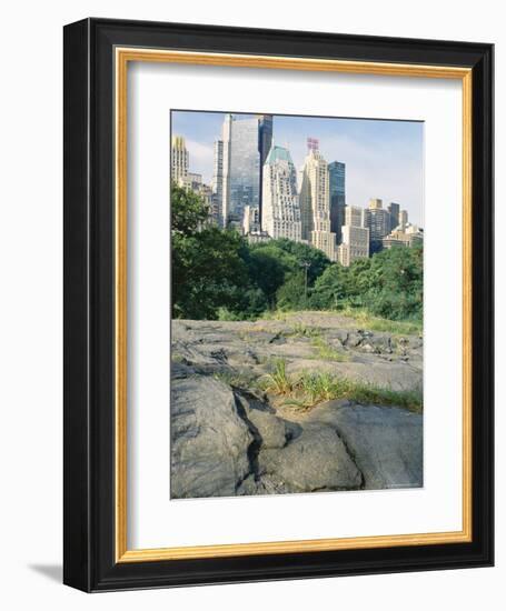 Outcrop of Manhattan Gneiss Which Forms Bedrock for Skyscrapers, Central Park, New York City, USA-Tony Waltham-Framed Photographic Print