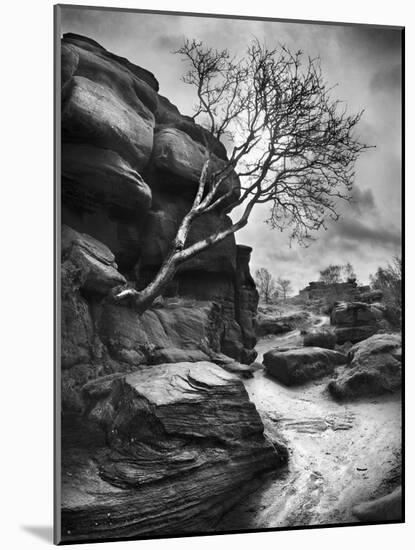 Outcrop-Martin Henson-Mounted Photographic Print