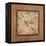 Outdoor Aviary II-Pamela Gladding-Framed Stretched Canvas