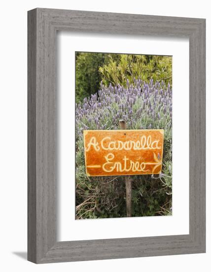 Outdoor Bar Sign, Pigna, La Balagne, Corsica, France-Walter Bibikow-Framed Photographic Print