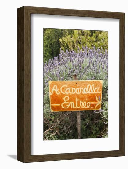 Outdoor Bar Sign, Pigna, La Balagne, Corsica, France-Walter Bibikow-Framed Photographic Print