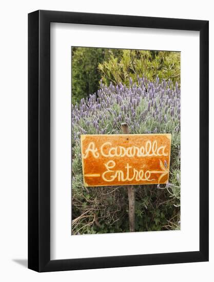 Outdoor Bar Sign, Pigna, La Balagne, Corsica, France-Walter Bibikow-Framed Photographic Print