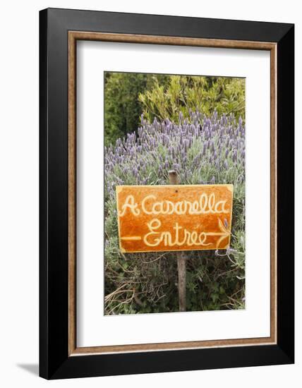 Outdoor Bar Sign, Pigna, La Balagne, Corsica, France-Walter Bibikow-Framed Photographic Print