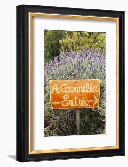 Outdoor Bar Sign, Pigna, La Balagne, Corsica, France-Walter Bibikow-Framed Photographic Print