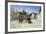 Outdoor Scene-Giuseppe Laezza-Framed Giclee Print