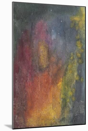 Outer Limits II-Renee W. Stramel-Mounted Art Print