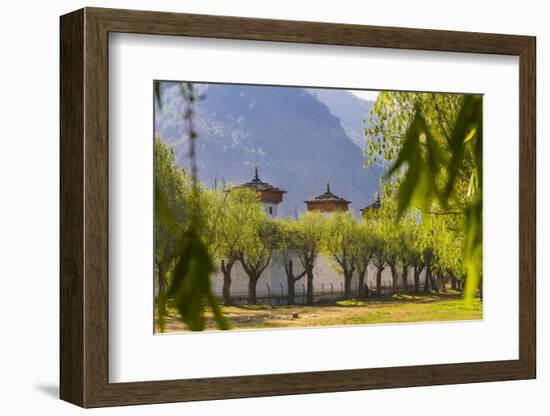 Outer Walls of the Tsechu of Paro, Bhutan-Michael Runkel-Framed Photographic Print