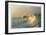 Outerbanks-Matthew Lusk-Framed Giclee Print