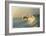 Outerbanks-Matthew Lusk-Framed Giclee Print