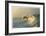 Outerbanks-Matthew Lusk-Framed Giclee Print