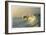 Outerbanks-Matthew Lusk-Framed Giclee Print