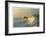 Outerbanks-Matthew Lusk-Framed Giclee Print