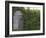 Outhouse Built in 1929 Surrounded by Blooming Elderberrys, Homer, Alaska, USA-Dennis Flaherty-Framed Photographic Print