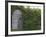 Outhouse Built in 1929 Surrounded by Blooming Elderberrys, Homer, Alaska, USA-Dennis Flaherty-Framed Photographic Print