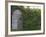 Outhouse Built in 1929 Surrounded by Blooming Elderberrys, Homer, Alaska, USA-Dennis Flaherty-Framed Photographic Print