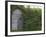 Outhouse Built in 1929 Surrounded by Blooming Elderberrys, Homer, Alaska, USA-Dennis Flaherty-Framed Photographic Print