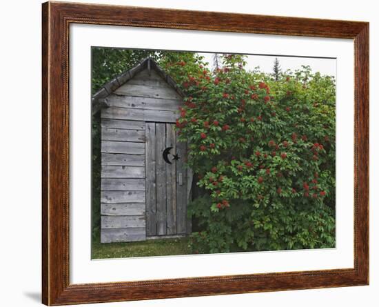 Outhouse Built in 1929 Surrounded by Blooming Elderberrys, Homer, Alaska, USA-Dennis Flaherty-Framed Photographic Print