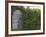 Outhouse Built in 1929 Surrounded by Blooming Elderberrys, Homer, Alaska, USA-Dennis Flaherty-Framed Photographic Print