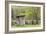 Outhouse, Pioneer Homestead, Great Smoky Mountains National Park, North Carolina-Adam Jones-Framed Photographic Print