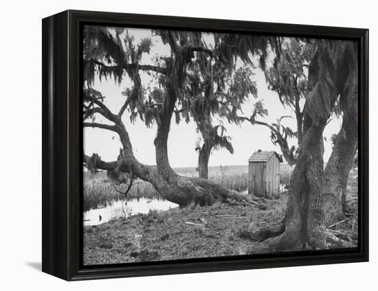 Outhouse Sitting in the Middle of the Woods-null-Framed Premier Image Canvas