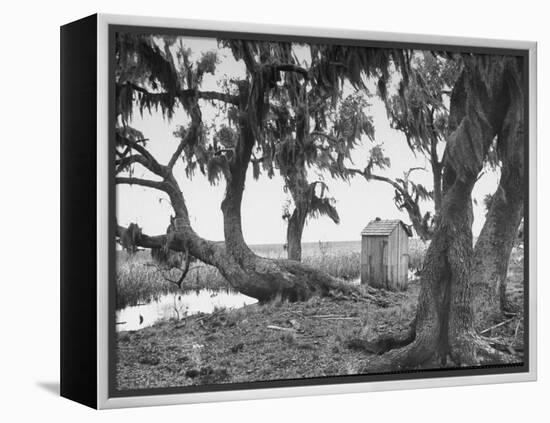 Outhouse Sitting in the Middle of the Woods-null-Framed Premier Image Canvas