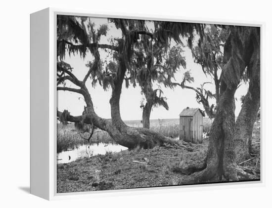 Outhouse Sitting in the Middle of the Woods-null-Framed Premier Image Canvas