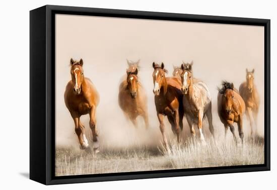 Outlaws-Lisa Dearing-Framed Premier Image Canvas